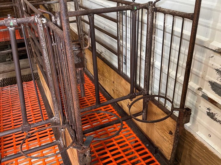 52-metal-calf-crates-image-29