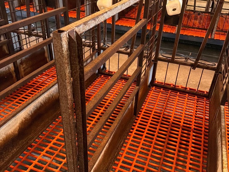 50-metal-calf-crates-image-28