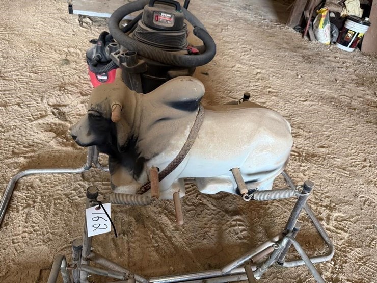 riding-horse-&-bull-image-4