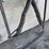 antique-cattle-scratcher/-oiler-image-7