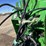 2016-john-deere-l340-image-49