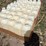 50-2-quart-calf-bottles-image-3