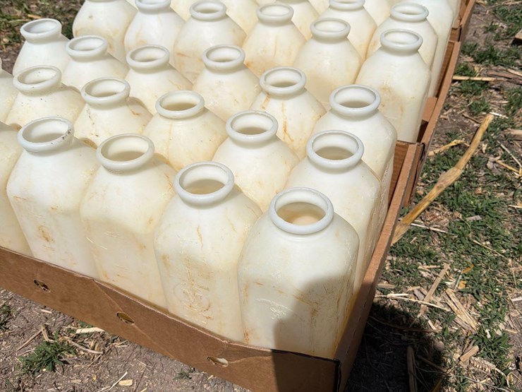 50-2-quart-calf-bottles-image-3
