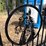 #5124-•-set-of-gates-with-horse-design-image-2
