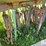 john-deere-fb-image-20