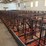 52-metal-calf-crates-image-1