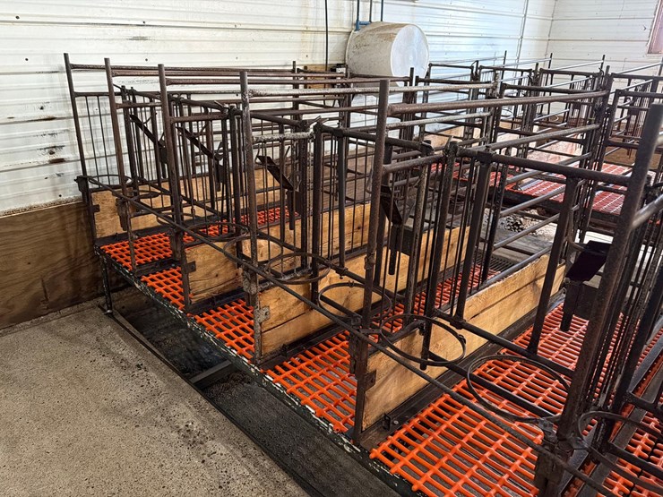 52-metal-calf-crates-image-14