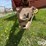 new-holland-519-image-8