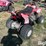 2006-arctic-cat-250-image-5