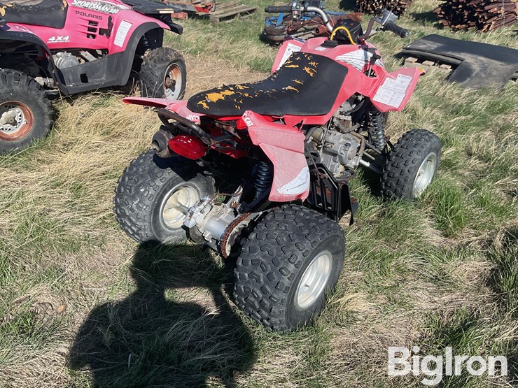 2006-arctic-cat-250-image-5