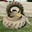 18.4-38-duals-w-clamps-image-2