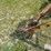 john-deere-896-image-18