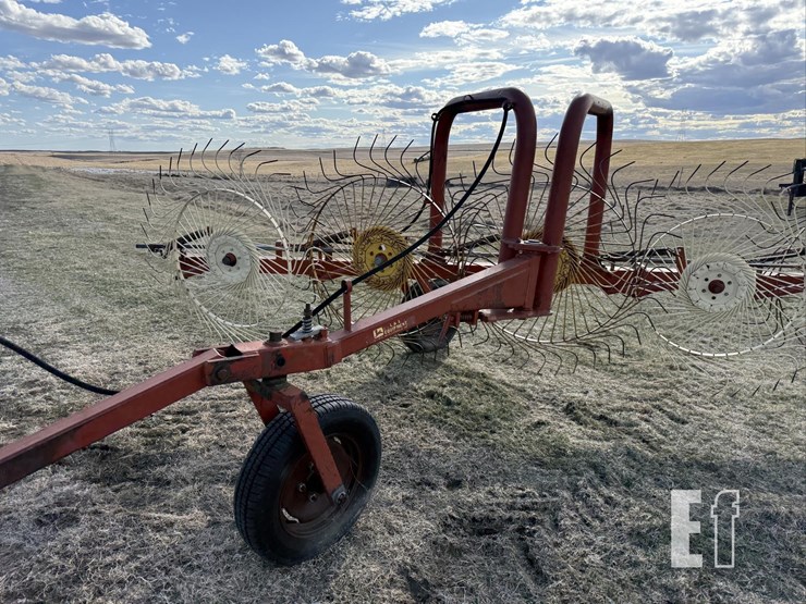 eurorake-9-wheel-rake-3380-image-5