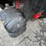 #9097-•-kids-electric-utv-(o3)-image-9