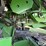 2000-john-deere-9450-image-17