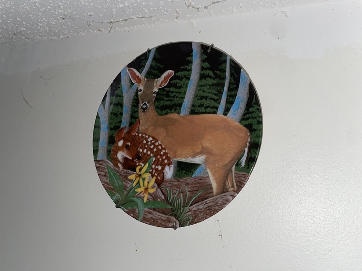 #7063-•-decorative-plates-image-2