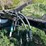 new-holland-2330bf-image-7