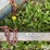 9,000-gallon-portable-liquid-fertilizer-tanks-image-17