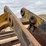 #3954-•-raveling-approx-46"-excavator-bucket-image-9