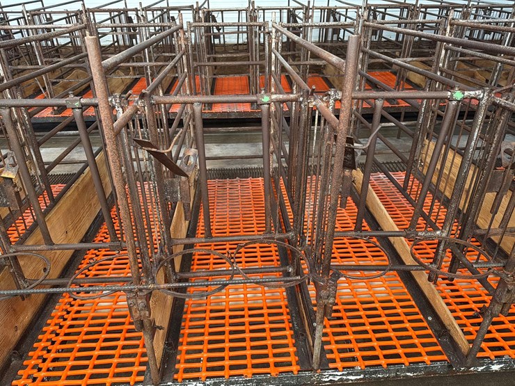 52-metal-calf-crates-image-23