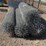 pallet-of-asst-7ft-chain-link-image-5
