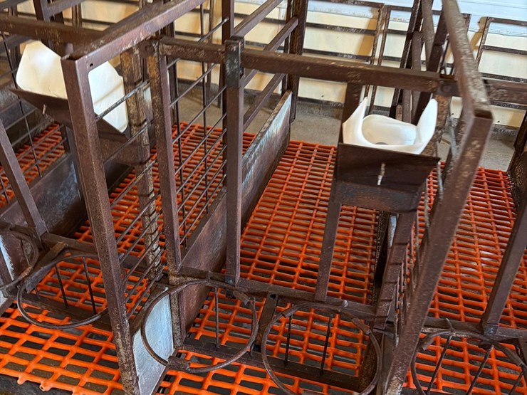 50-metal-calf-crates-image-10