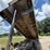 2016-kenworth-t880-image-11