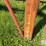westendorf-wl-42-image-11