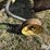 john-deere-r15-image-16