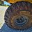 #24312-•-caterpillar-worksite-6x4-image-44