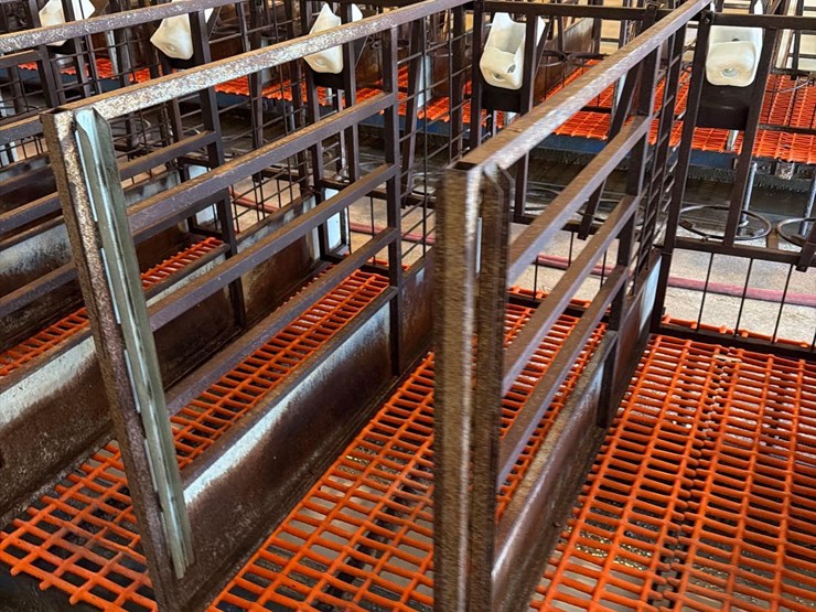 50-metal-calf-crates-image-33