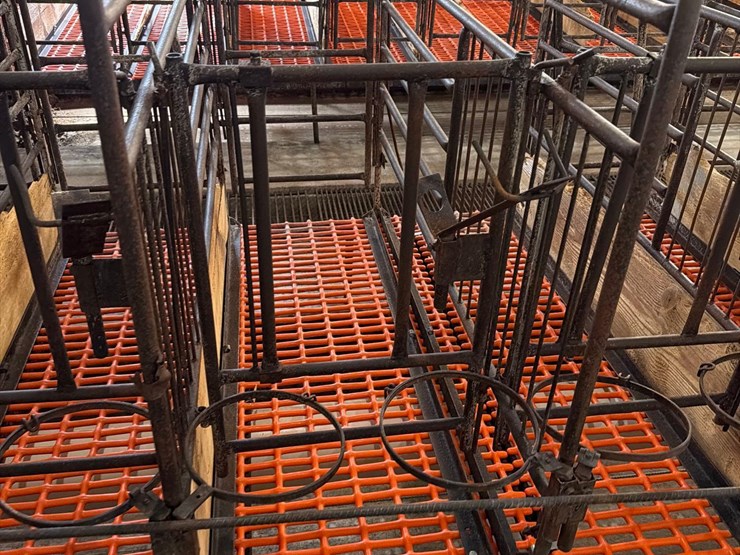 52-metal-calf-crates-image-15
