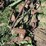 john-deere-145-image-12