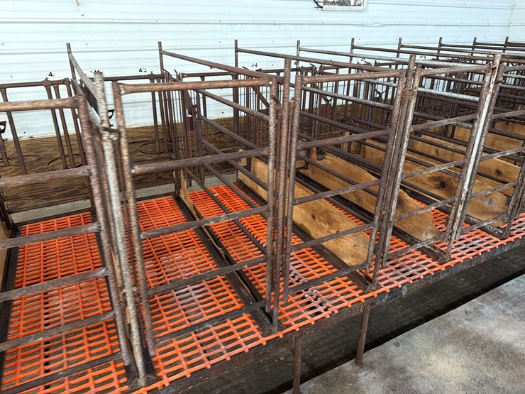 52-metal-calf-crates-image-5