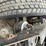 1999-kenworth-t600-image-38