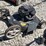 #6983-•-poulan-lawn-mower-image-7