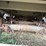 2008-wilson-livestock-trailer-image-81