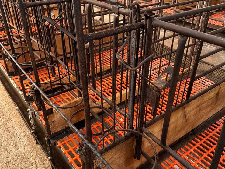52-metal-calf-crates-image-26
