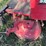 snapper-rider-mower-image-8