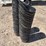 50-handled-calf-buckets-image-9