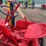 massey-furgeson-pony-image-22