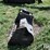 john-deere-130-image-8