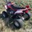 2006-arctic-cat-250-image-7