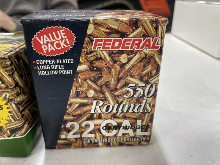 1100-rounds-federal/remington-22-lr-ammo-image-3