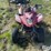 2006-arctic-cat-250-image-2