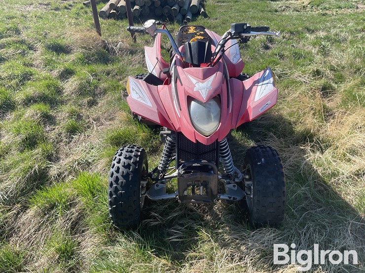 2006-arctic-cat-250-image-2