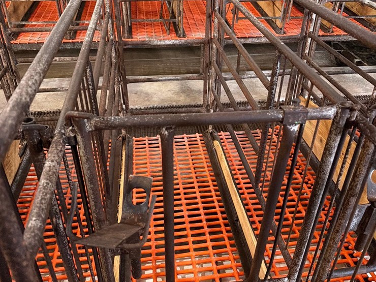 52-metal-calf-crates-image-27