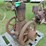 antique-engine-image-1