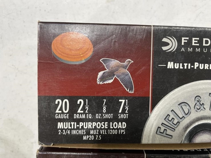 200-rounds-remington-field-&-target-20ga-ammo-image-2