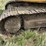 2012-caterpillar-321d-excavator-image-17